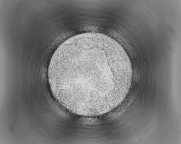 X0000111630449200908281138