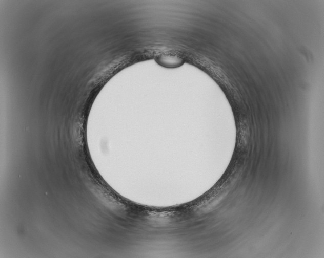 X0000111630450200908281138