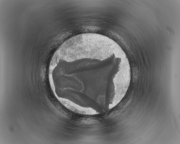 X0000111630451200908281138