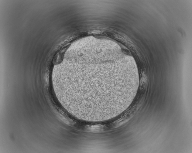 X0000111630452200908281138
