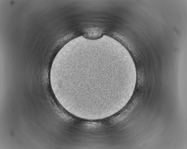 X0000111630453200908281138