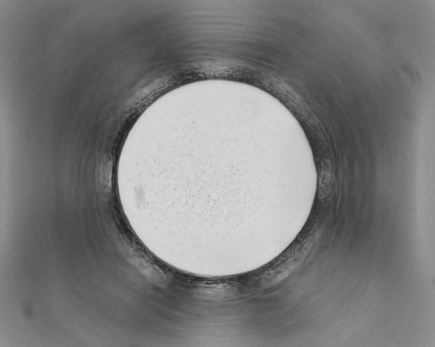 X0000111630454200908281138