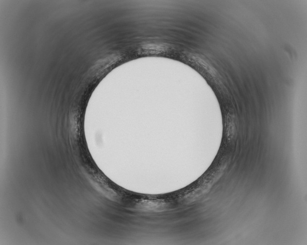 X0000111630455200908281138