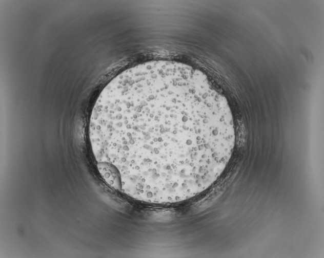 X0000111630456200908281138