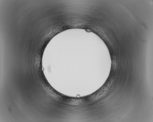X0000111630458200908281138