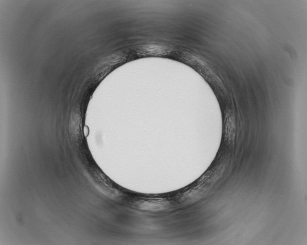 X0000111630459200908281138