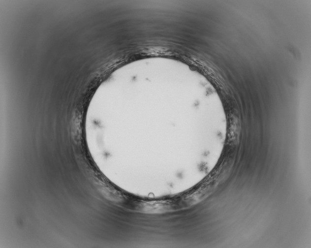 X0000111630461200908281138