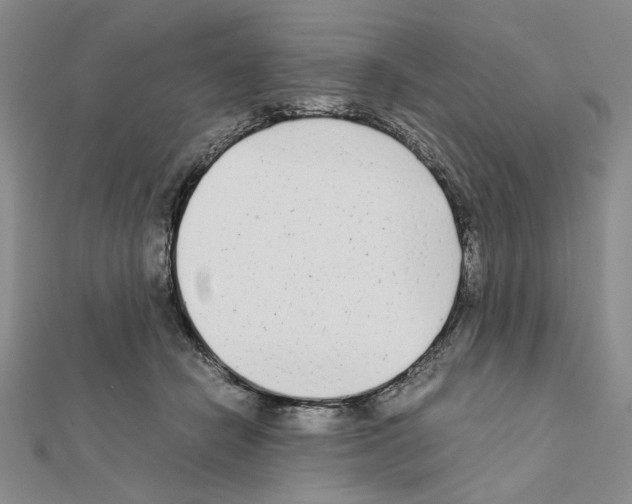 X0000111630462200908281138