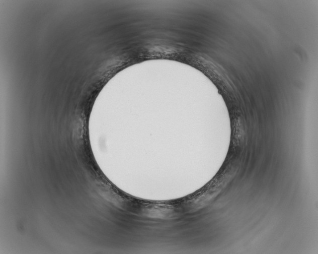 X0000111630463200908281138