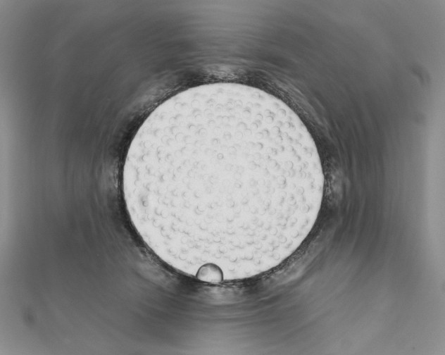 X0000111630466200908281138