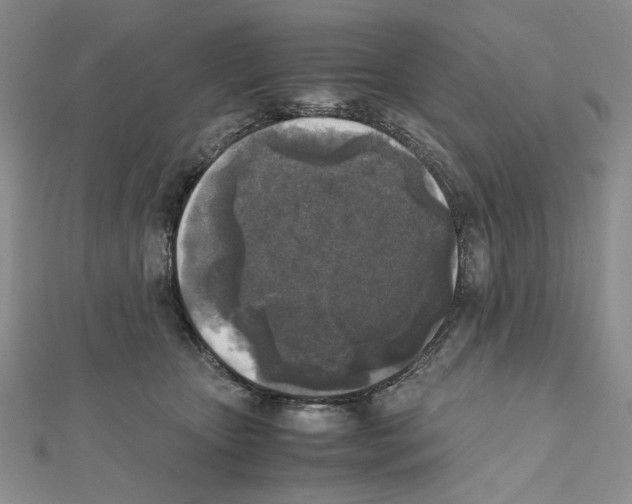 X0000111630467200908281138