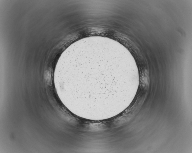 X0000111630468200908281138