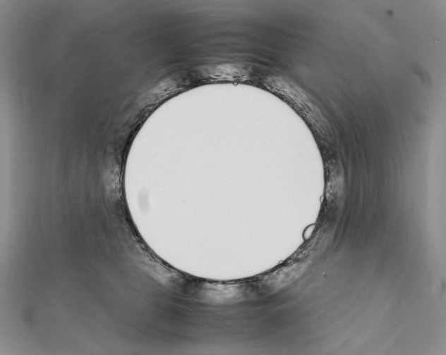 X0000111630469200908281138