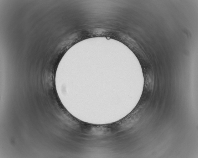 X0000111630470200908281138
