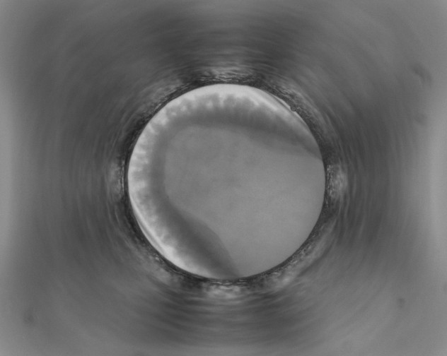 X0000111630471200908281138