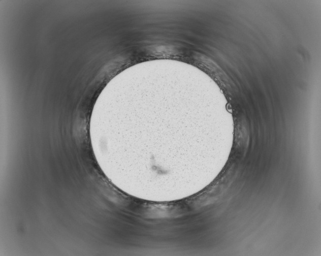 X0000111630473200908281138