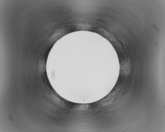 X0000111630474200908281138