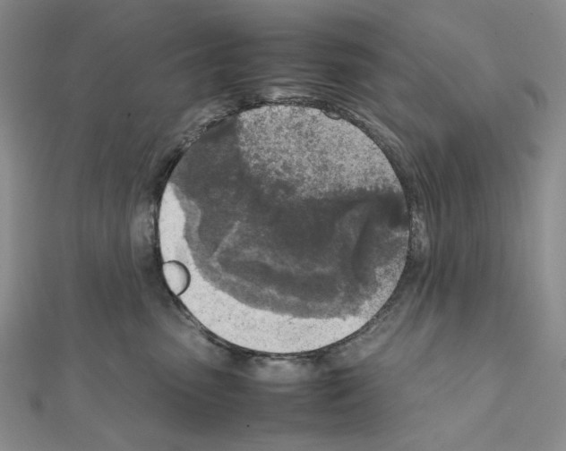 X0000111630475200908281138
