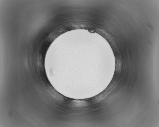 X0000111630477200908281138