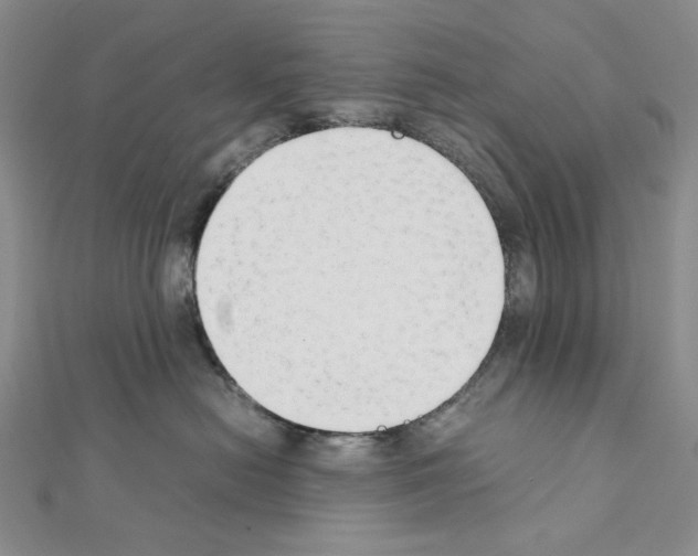 X0000111630478200908281138