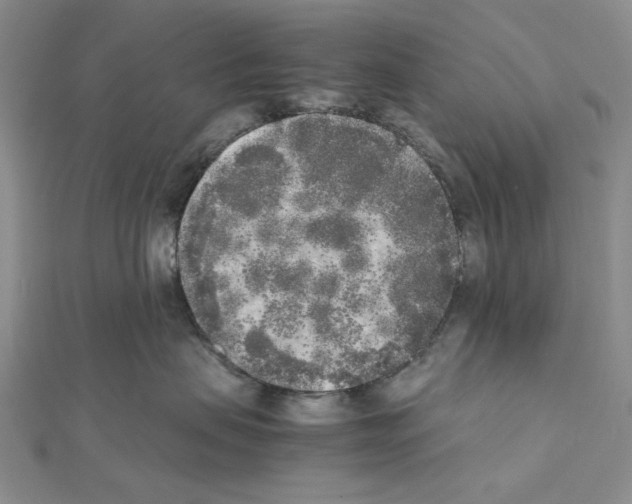 X0000111630479200908281138
