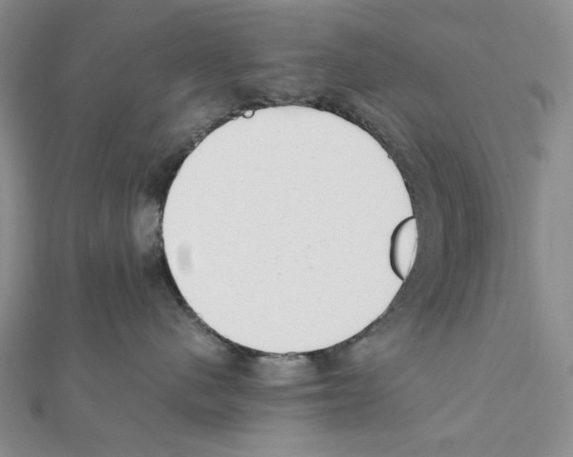 X0000111630480200908281138
