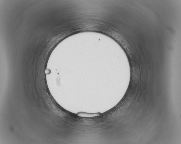 X0000111630481200908281138