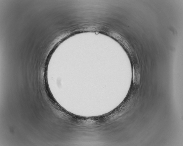 X0000111630483200908281138