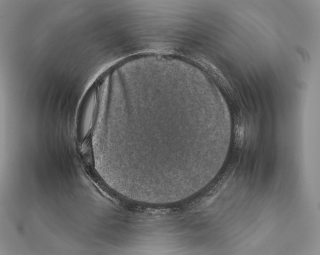 X0000111630484200908281138