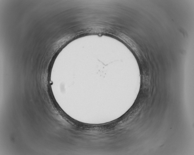 X0000111630485200908281137