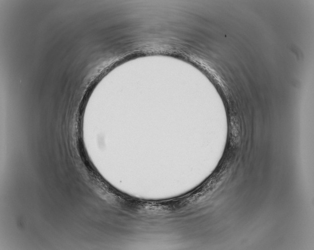X0000111630487200908281137