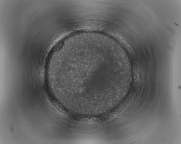 X0000111630488200908281137
