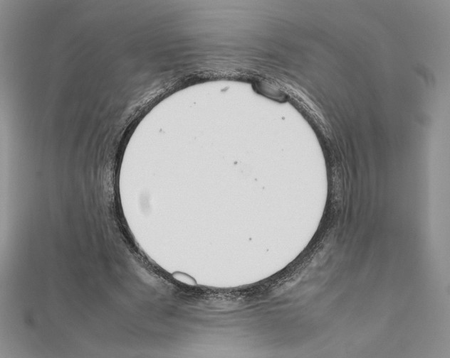 X0000111630489200908281137