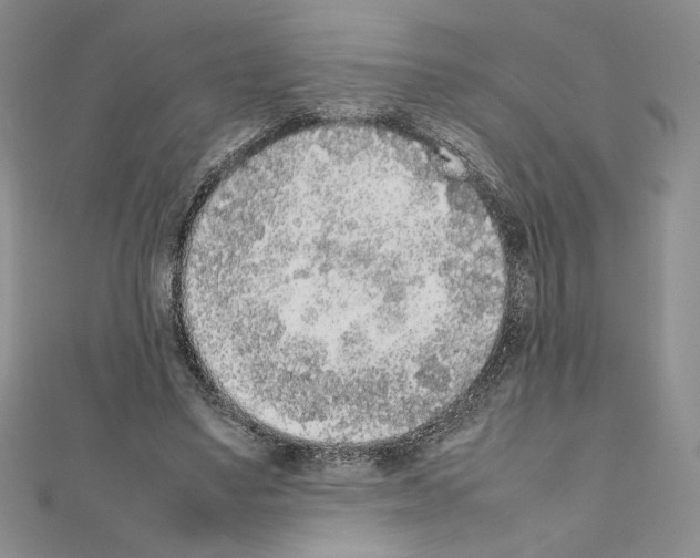 X0000111630491200908281137