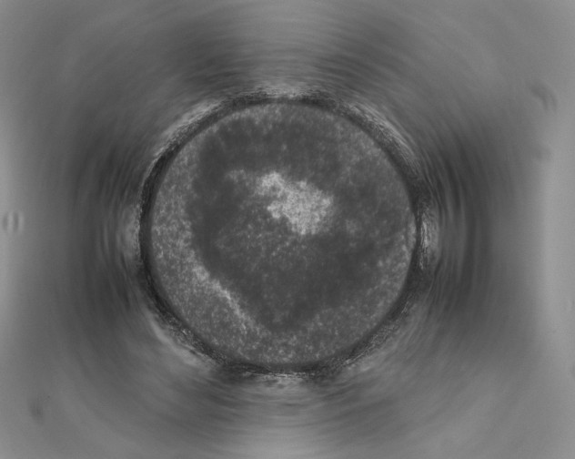 X0000111630492200908281137