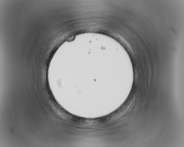 X0000111630493200908281137