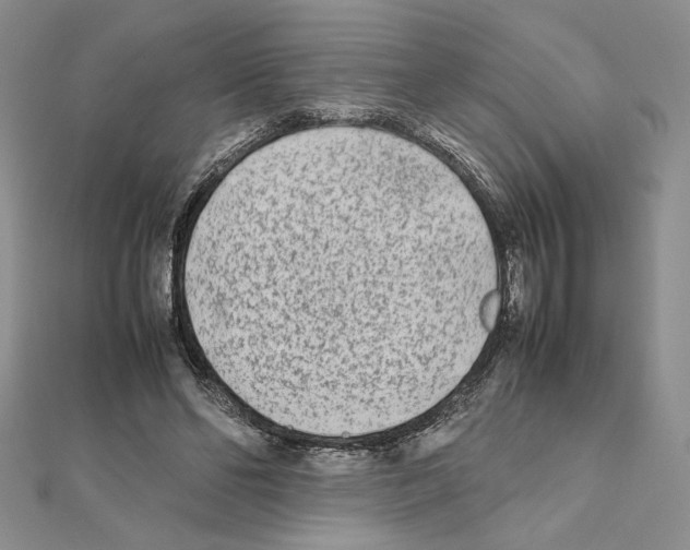 X0000111630494200908281137