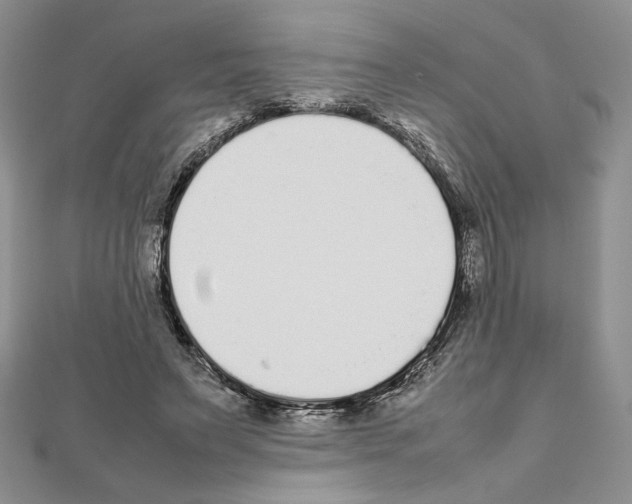 X0000111630495200908281137