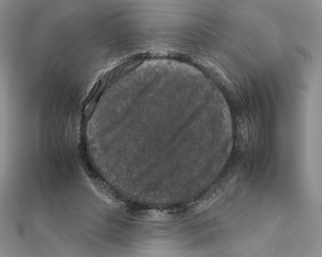 X0000111630496200908281137