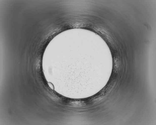 X0000111630499200908281137