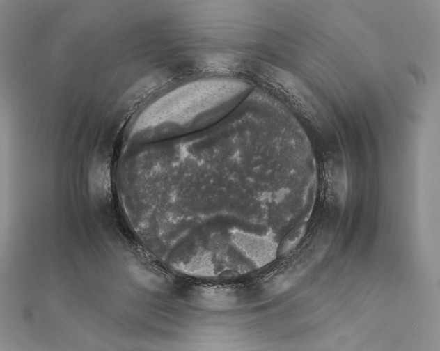 X0000111630500200908281137