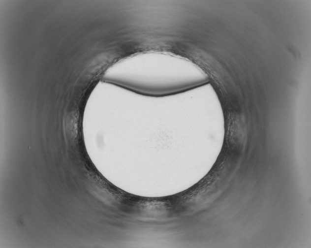 X0000111630501200908281137