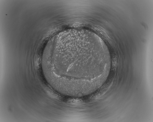 X0000111630503200908281137