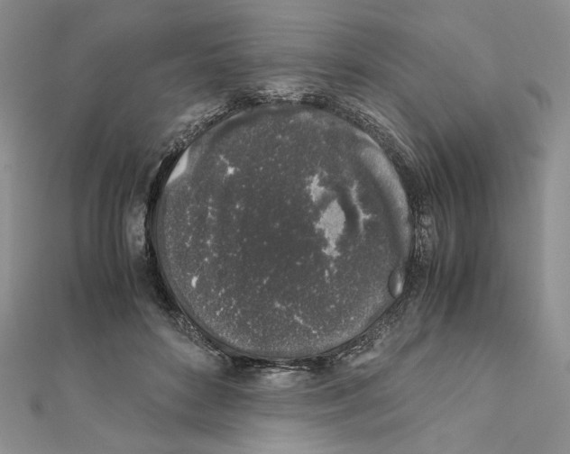 X0000111630504200908281137