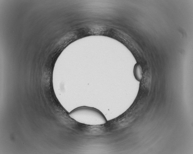 X0000111630505200908281137