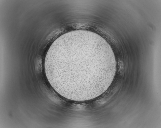 X0000111630506200908281137