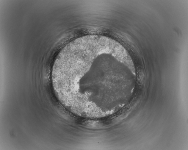 X0000111630507200908281137