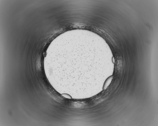 X0000111630508200908281137