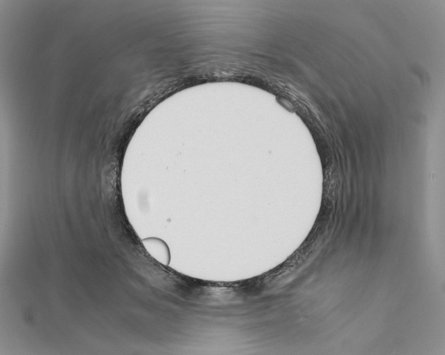 X0000111630509200908281137