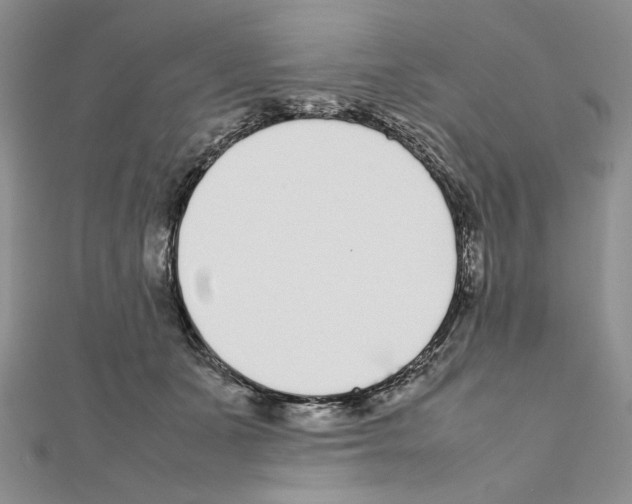 X0000111630511200908281137